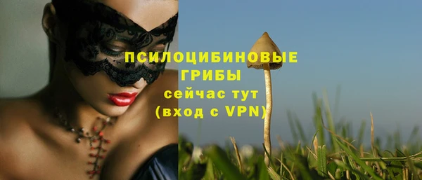 apvp Ладушкин