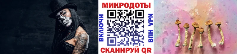 Галлюциногенные грибы Psilocybine cubensis  площадка какой сайт  Юрюзань 
